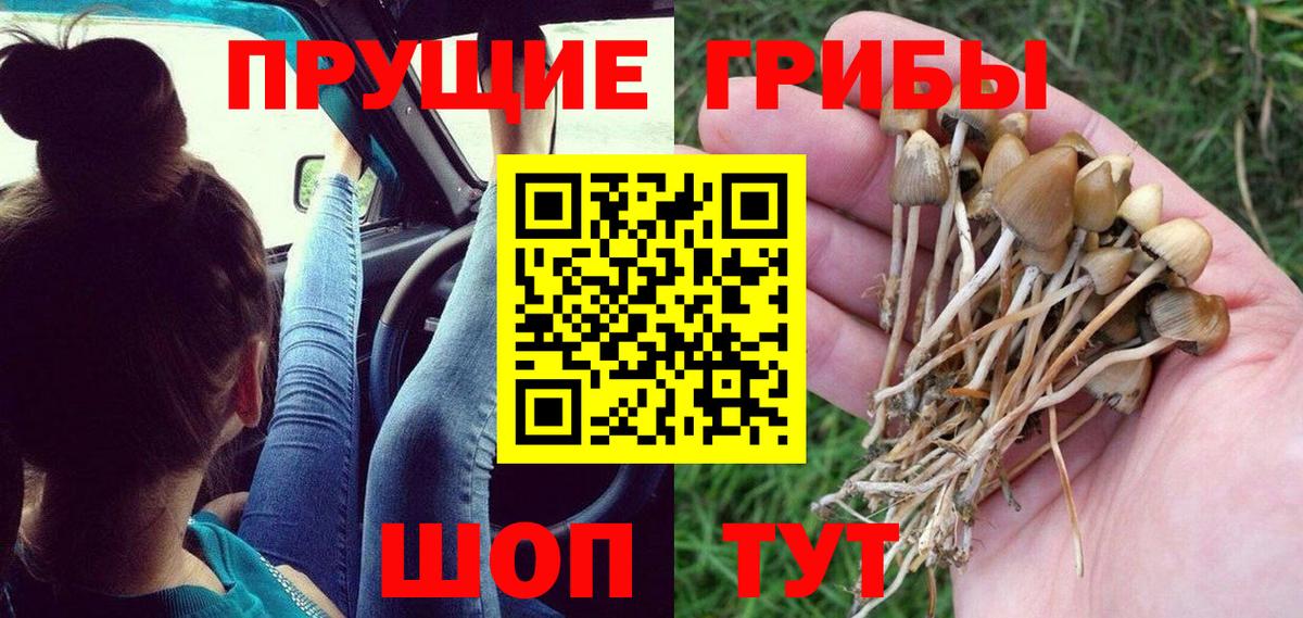 Псилоцибиновые грибы мухоморы  Вход с VPN  Азов 