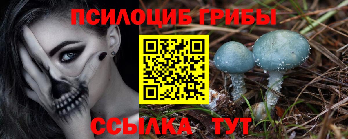 Галлюциногенные грибы мицелий Азов